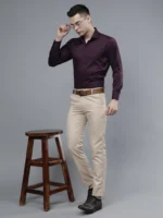 Roman Royal Men's Formal Shirt - Purple | Regular Fit | Full Sleeves | Office & Business Wear